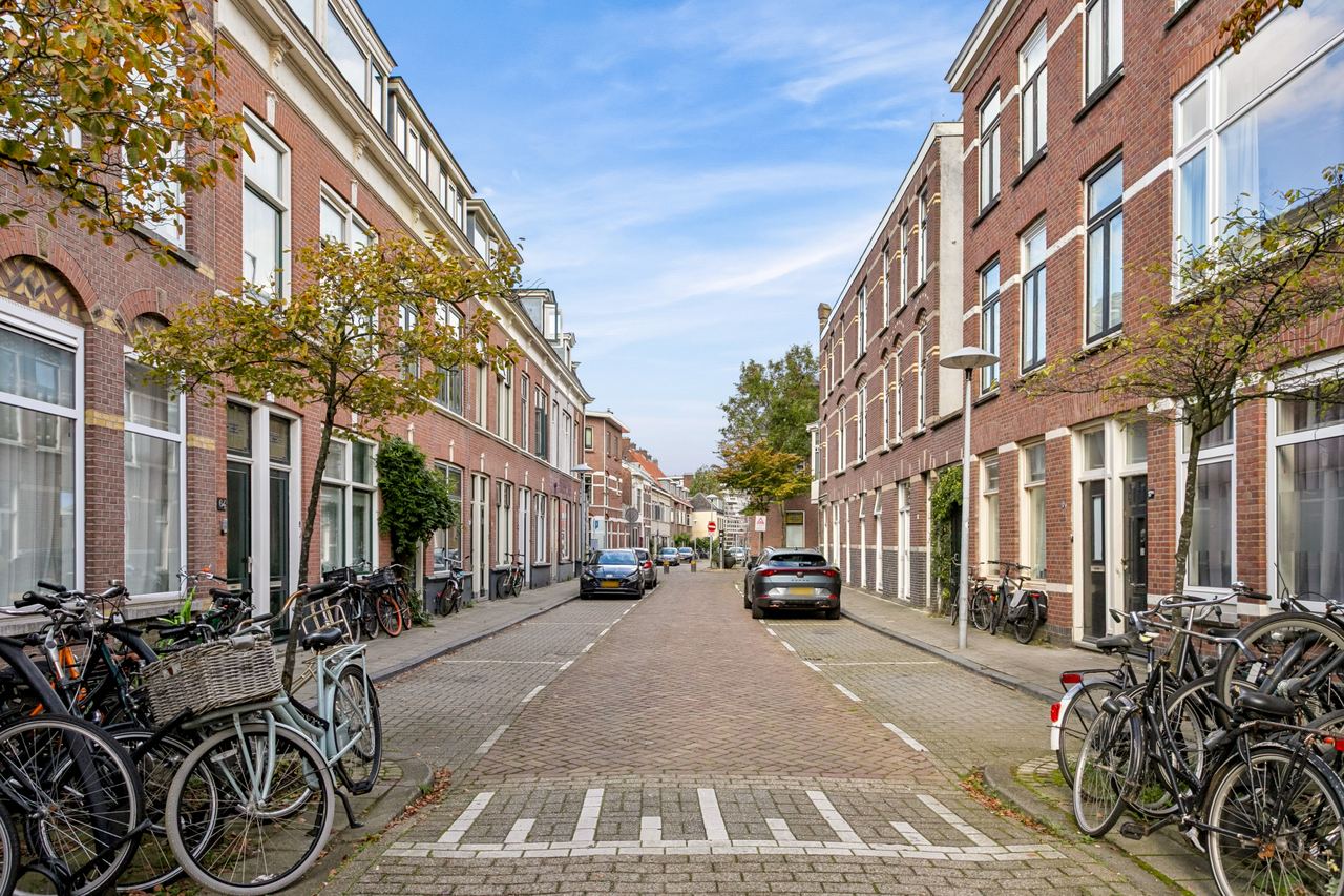 Richting het park